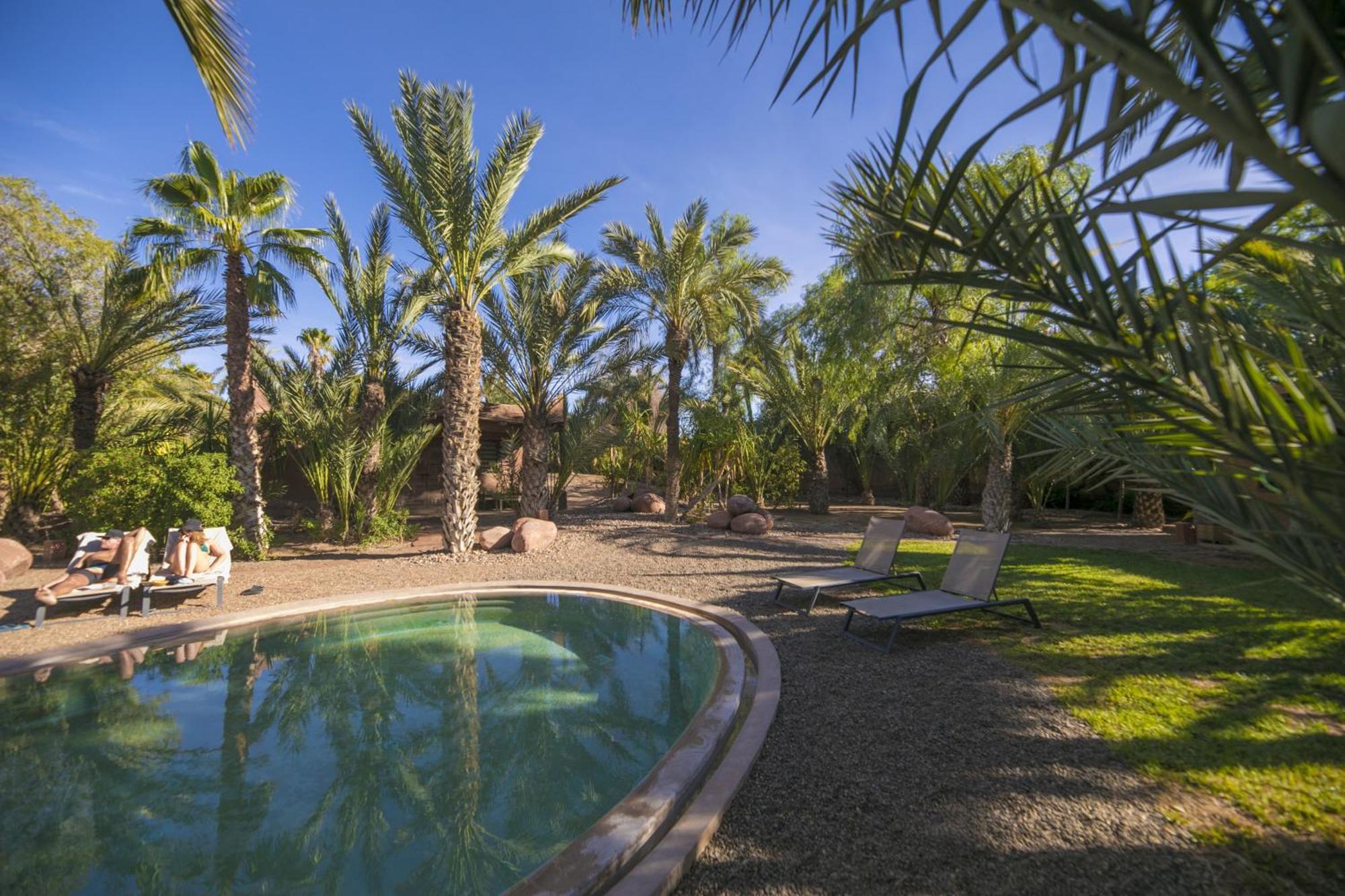 Villa Le Perroquet Bleu Marrakesh Exterior photo